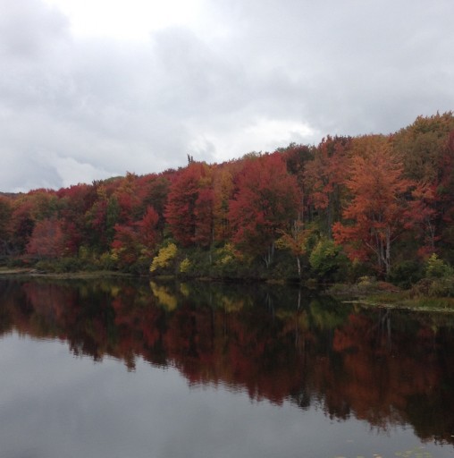 Chestnut Lake Camp - Beautiful Fall Picture; Premier Summer Camp Near New York City