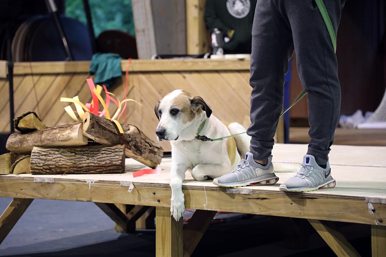 Apollo the dog takes the stage alongside campers during a lively performance at Chestnut Lake Camp.