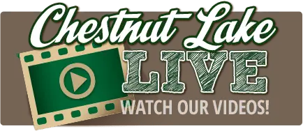 Watch videos button for Chestnut Lake Camp live content
