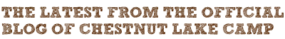 Latest blog section graphic for Chestnut Lake Camp news and updates