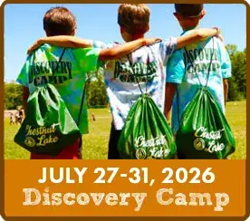 Background texture for Chestnut Lake Camp camper login portal